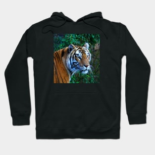 Tiger Hoodie